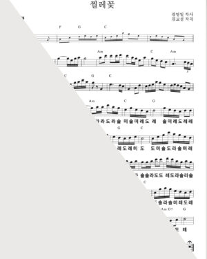찔레꽃MR+PDF