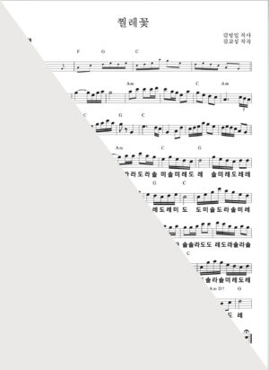찔레꽃MR+PDF